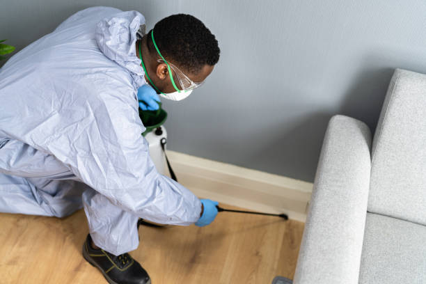 Best Bed Bug Extermination  in Brooklyn, NY